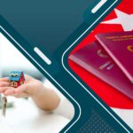 الاستثمار والجنسية التركية